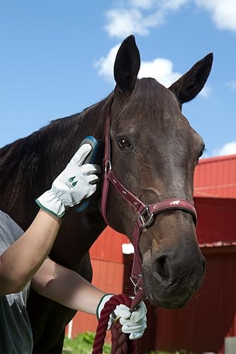 Miniatura 5 de FirTree Brand Goatskin Utility - Guantes de cuero para mujer y hombre para trabajo en el patio exterior, jardinería y paisajismo. Tabla de tallas en