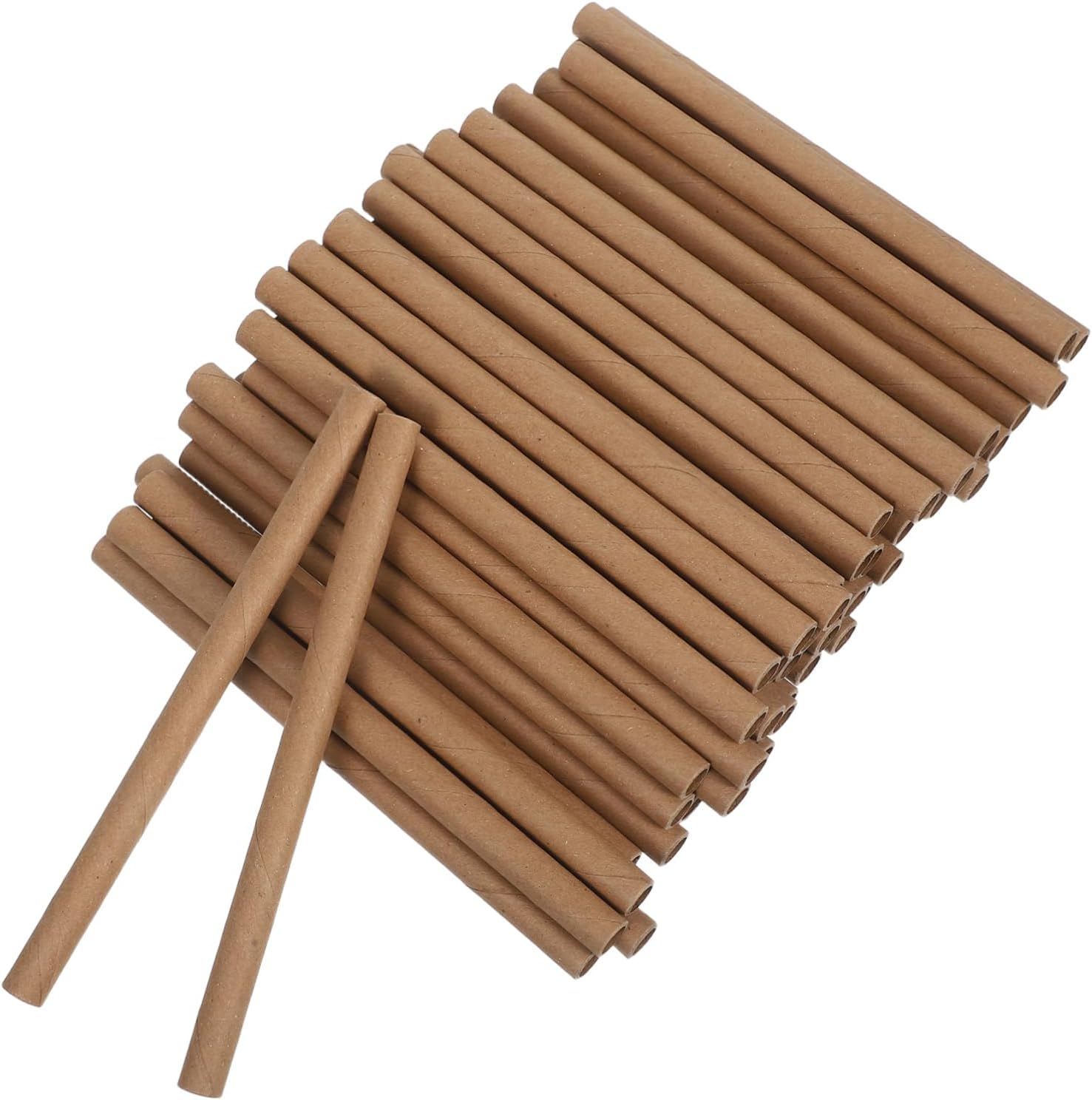 50pcs Paper Insect Habitat Tubes for Butterflies and Ladybugs