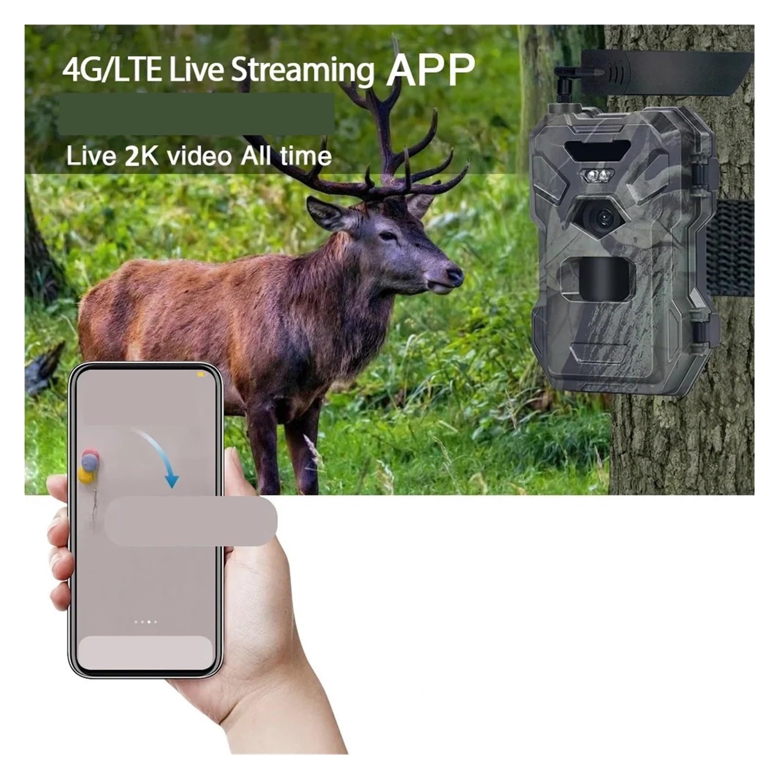 Outdoor 4G 30MP 2K Kontrola Aplikacji Noktowizor Pułapka Gra 120 Stopni Kamera Myśliwska Trail Bezprzewodowa Komórkowa Dzikiej Przyrody WyraźNe Obrazy I Filmy