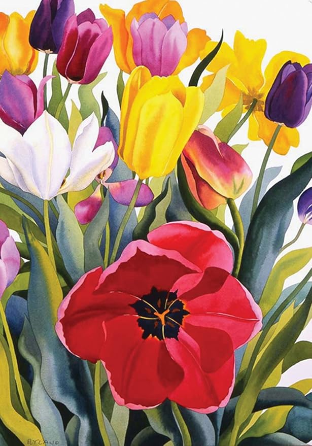 Toland Home Garden 109601 Tulip Garden Spring Flag 28x40