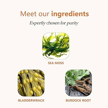 bladderwrack benefits () bladderwrack benefits