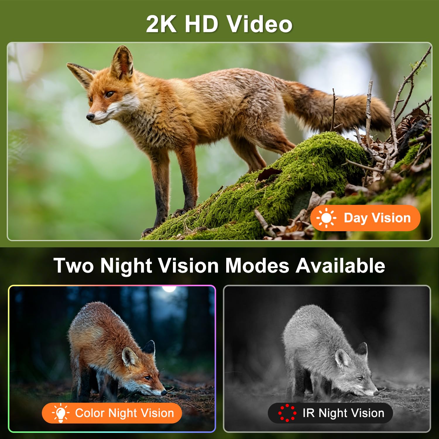 LEMNOI Fototrappola 4G con SIM Inclusa, 2K Fotocamera da Caccia, Telecamera Solare PTZ da Esterno, Visione Notturna a Colori, IP66 Impermeabile, Senza WiFi, per Caccia/Fattoria/Giardino