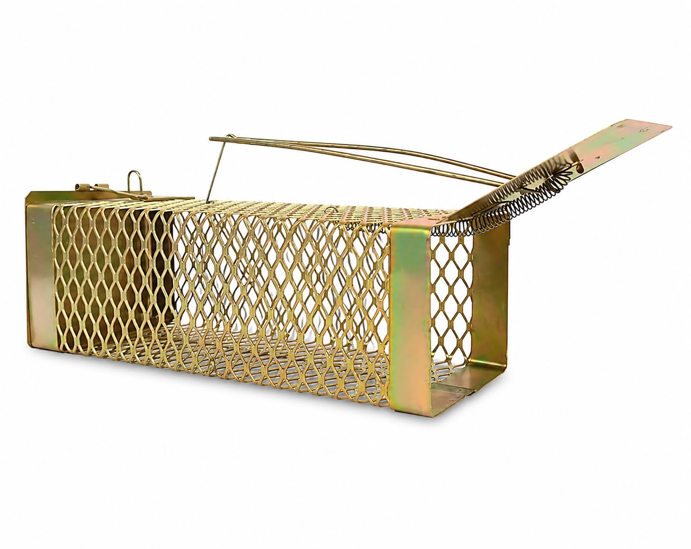 PUNJAB SHAKTI Heavy Duty Rat Catcher Trap — Humane & Reusable Mouse Trap for Home, Office & Warehouse — Easy to Set, Strong & Reliable Rodent Control (Small)-image-14