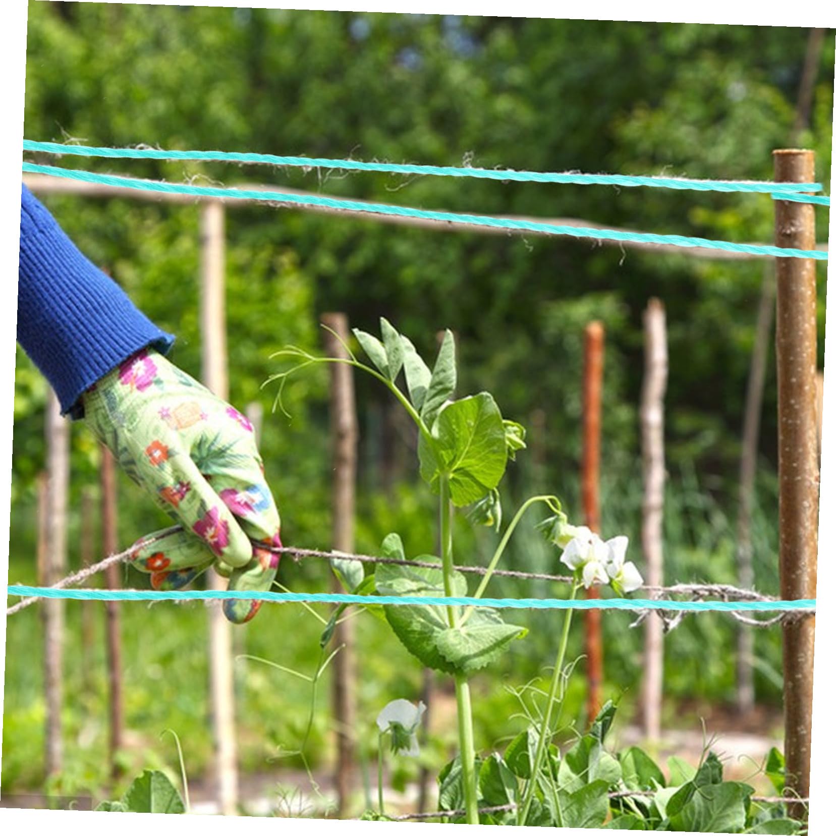 UPKOCH Corde Suspendre Végétale Ficelle de Jardinage Corde en PE pour Plantes Grimpantes