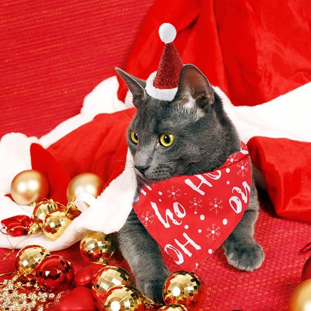 Foto 6 de 7 de Bandana de Navidad para Perro, Bufanda Triangular de Algodón Con Sombrero de Fiesta, Traje para Perro