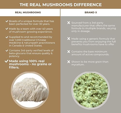 Miniatura 2 de Real Mushrooms Suplemento orgánico en polvo de melena de león para cognición y apoyo inmunológico 60 porciones y 5 Defenders Chocolate 2 onzas con