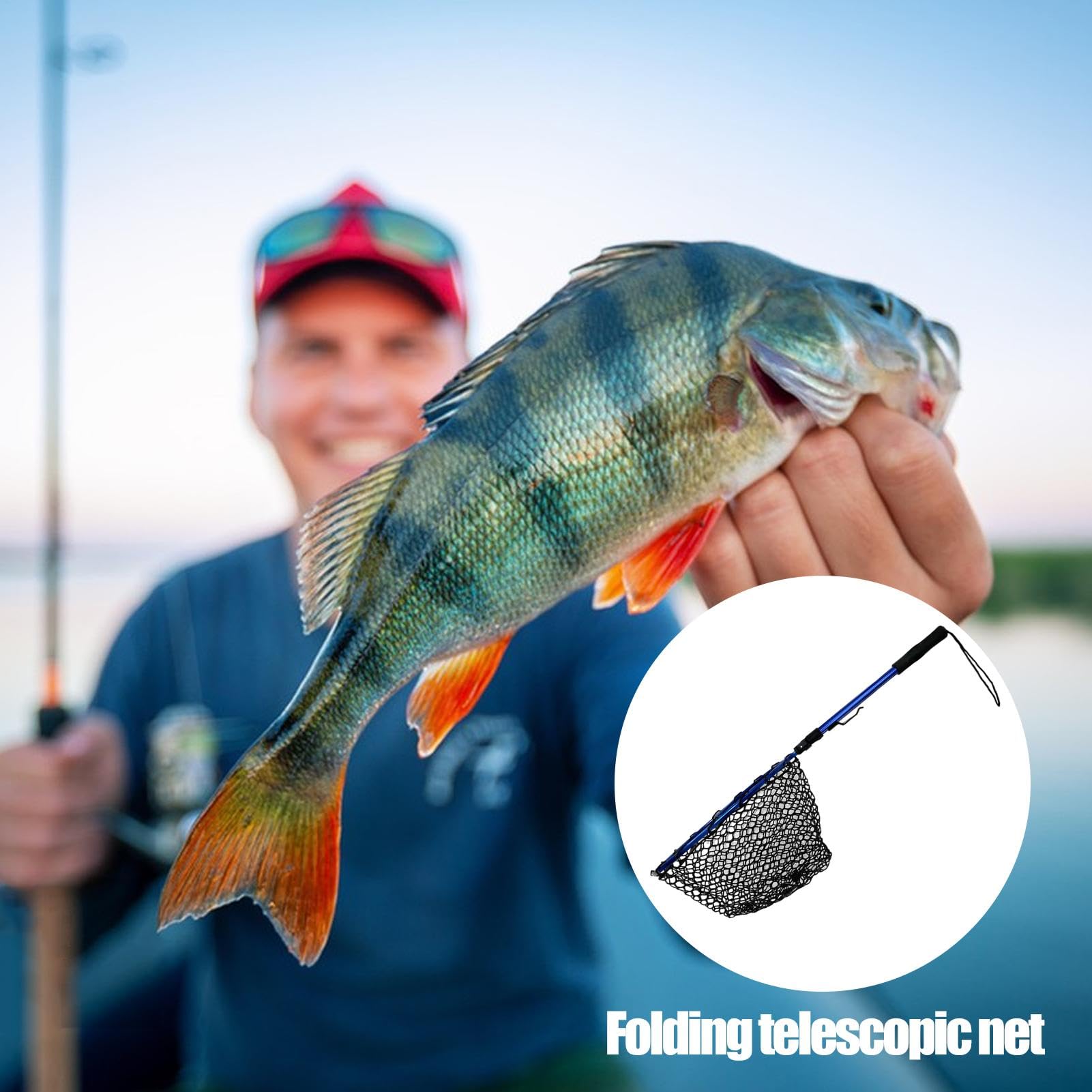 Red de pesca plegable con mango telescópico, gran red para pesca de agua salada y mar