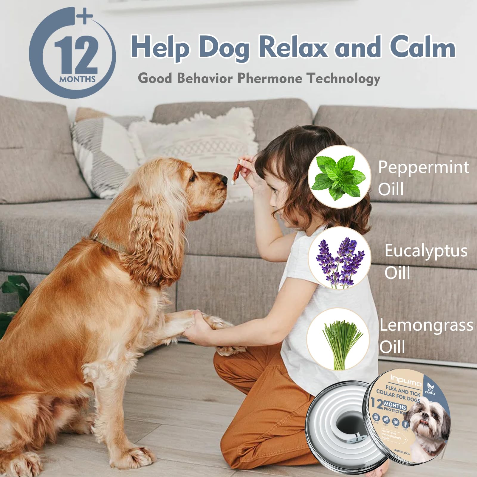 Collare Antiparassitario Per Cani, 12 Mesi di Protezione Collare Antipulci Cane Antiparassitario Cani Regolabile Impermeabile Collare Antipulci per Tutti i Cani (1Pack)