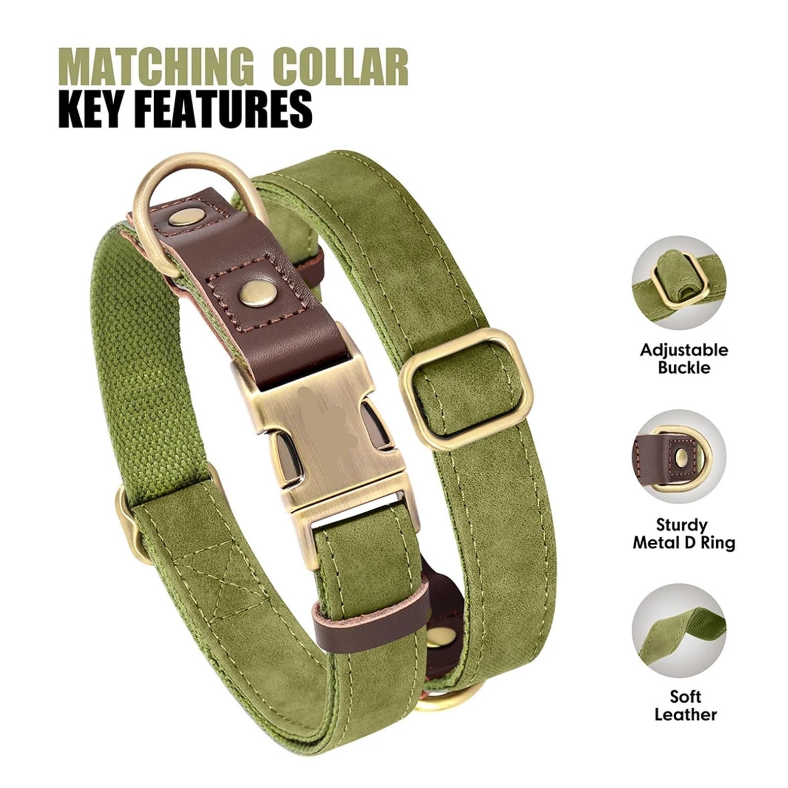 Collier for Chien avec Laisse, Tailles SL
