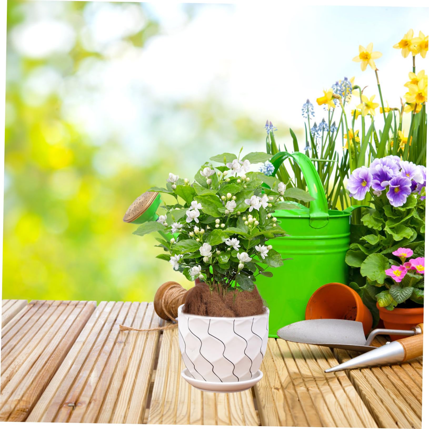 Fibra Vegetal Para Macetas y Mantillo Transpirable Para Jardinería Interior y Exterior, Fibra Plantas 500g, Retención De Humedad y Protección Contra Animales