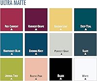 Vista 10 de Rust-Oleum 331181 Painter's Touch 2X Ultra Cover - Pintura en aerosol, 12 onzas, blanco ultra mate (paquete de 2)