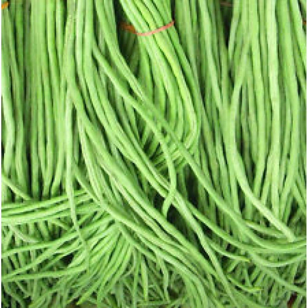 Creative Farmer Cowpea Long Bean Seeds (B01M22J7FX) Amazon Price History, Amazon Price Tracker
