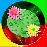 Unlimited levels. Water Lily