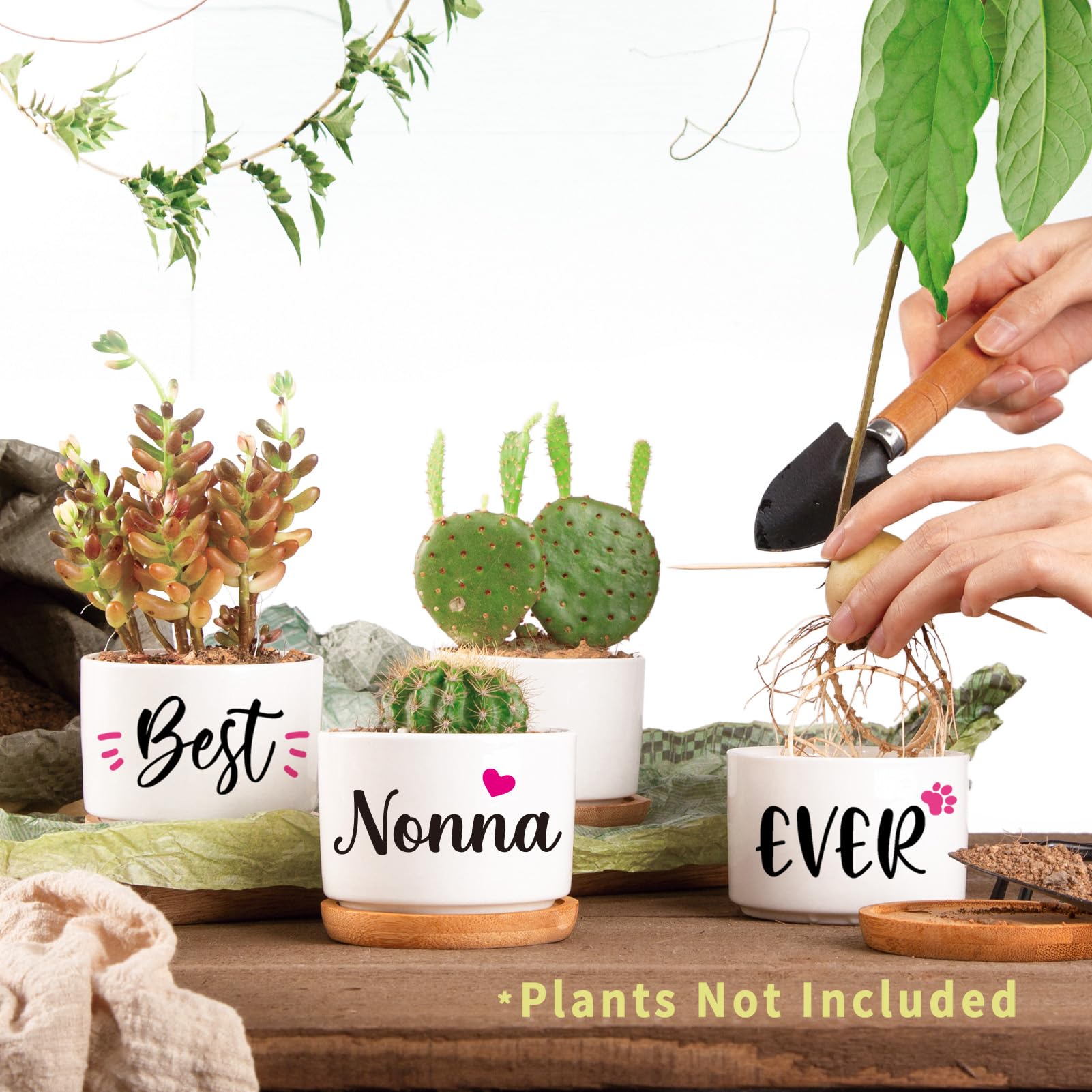 AceThrills Nonna Gifts for Birthday, Nonna for Nonnas from Grandkids, Unique Present on Thanksgiving Christmas - 3 Pcs 3.15" Succulent Pots with Bamboo Tray
