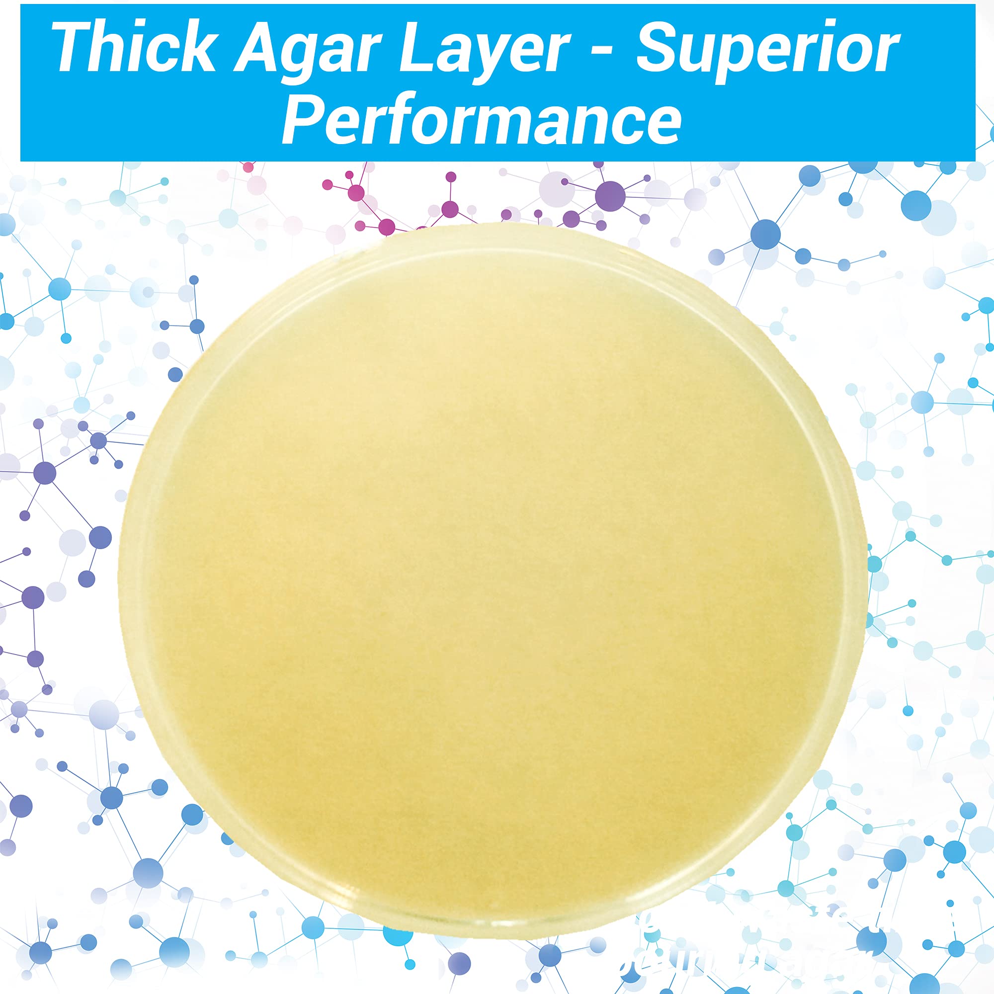 Nutrient Agar Plates by Evviva Sciences Swabs Not Included Readyto