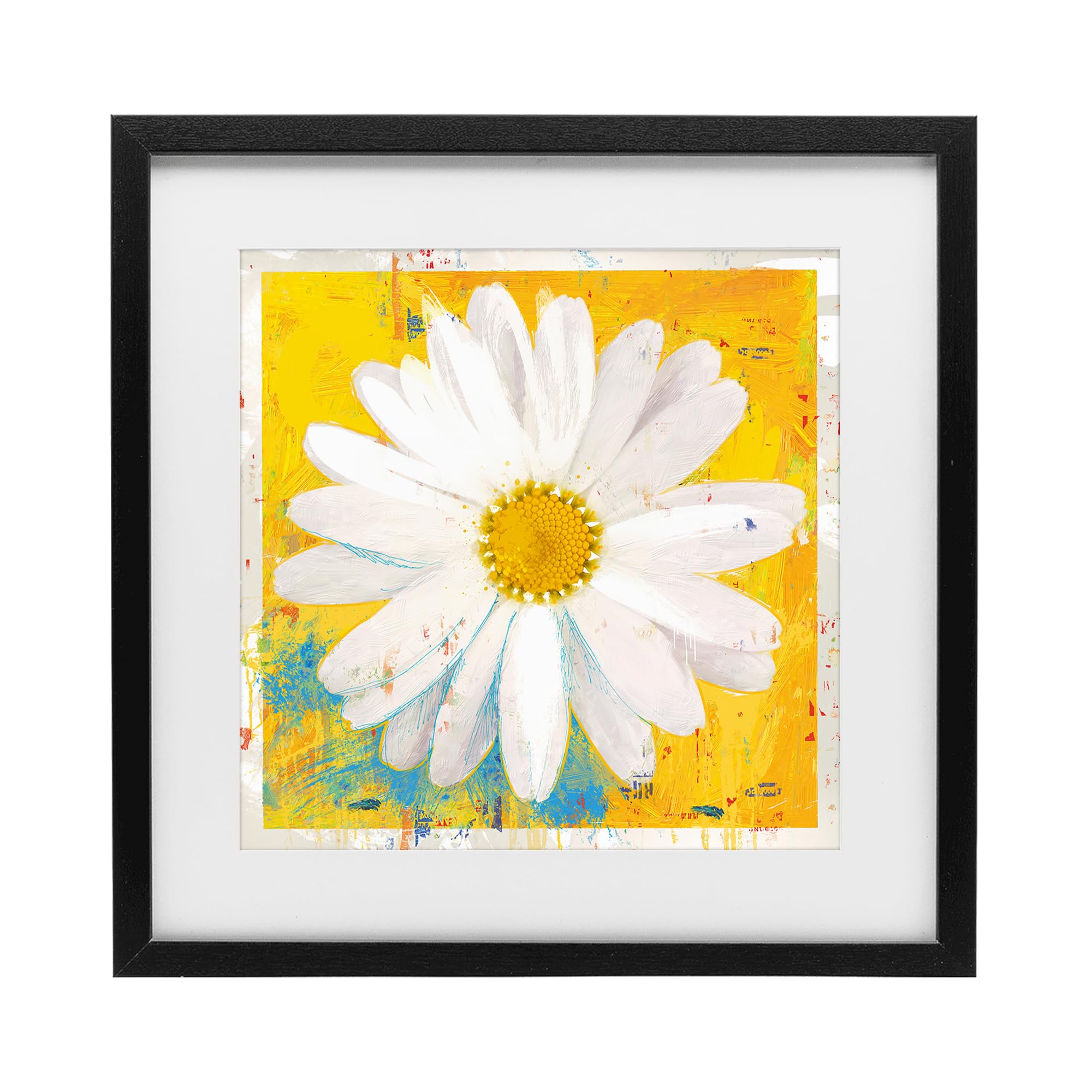 Stupell Industries Sunny Daisy Blossom Yellow 'Violet's Daisy On Yellow', Framed Print Under Glass, Black, 16 X 16 Inches, Easy To Hang And Sturdy, Made In Usa, By Porter Hastings