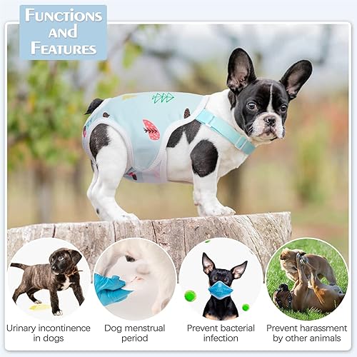 Miniatura 5 de Bragas sanitarias para perros, pañales reutilizables y lavables para perros con tirantes, ropa interior fisiológica transpirable para perros con