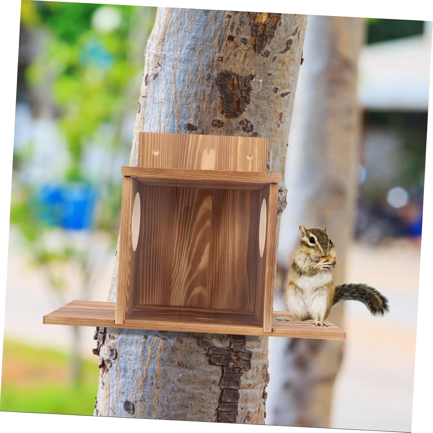 Sosoport Outdoor Squirrel Feeder Wood Design Hamster Feeding Box for Garden Use Attractive Squirrel Feeding House for Outside for Enthusiasts
