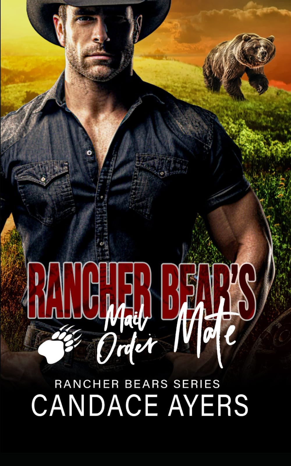 Rancher Bear's Mail Order Mate: Bear Shifter Rom-Com (Rancher Bears Series)