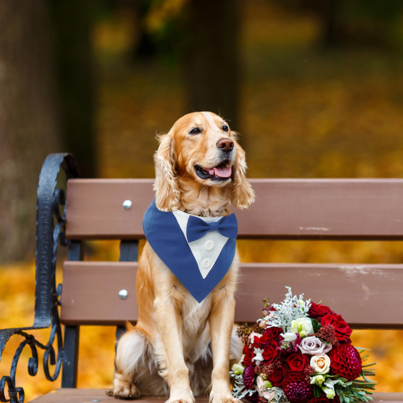 Smoking Bandana Per Cani, Sciarpa Triangolare Regolabile Blu - Matrimonio Festa Compleanno
