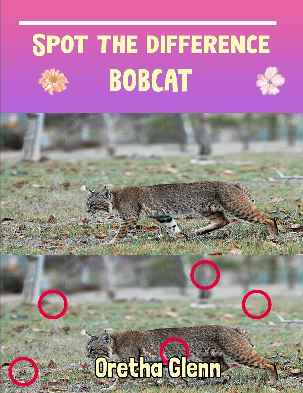 Spot the difference Bobcat: Picture puzzles for adults Can You Really Find All the Differences?