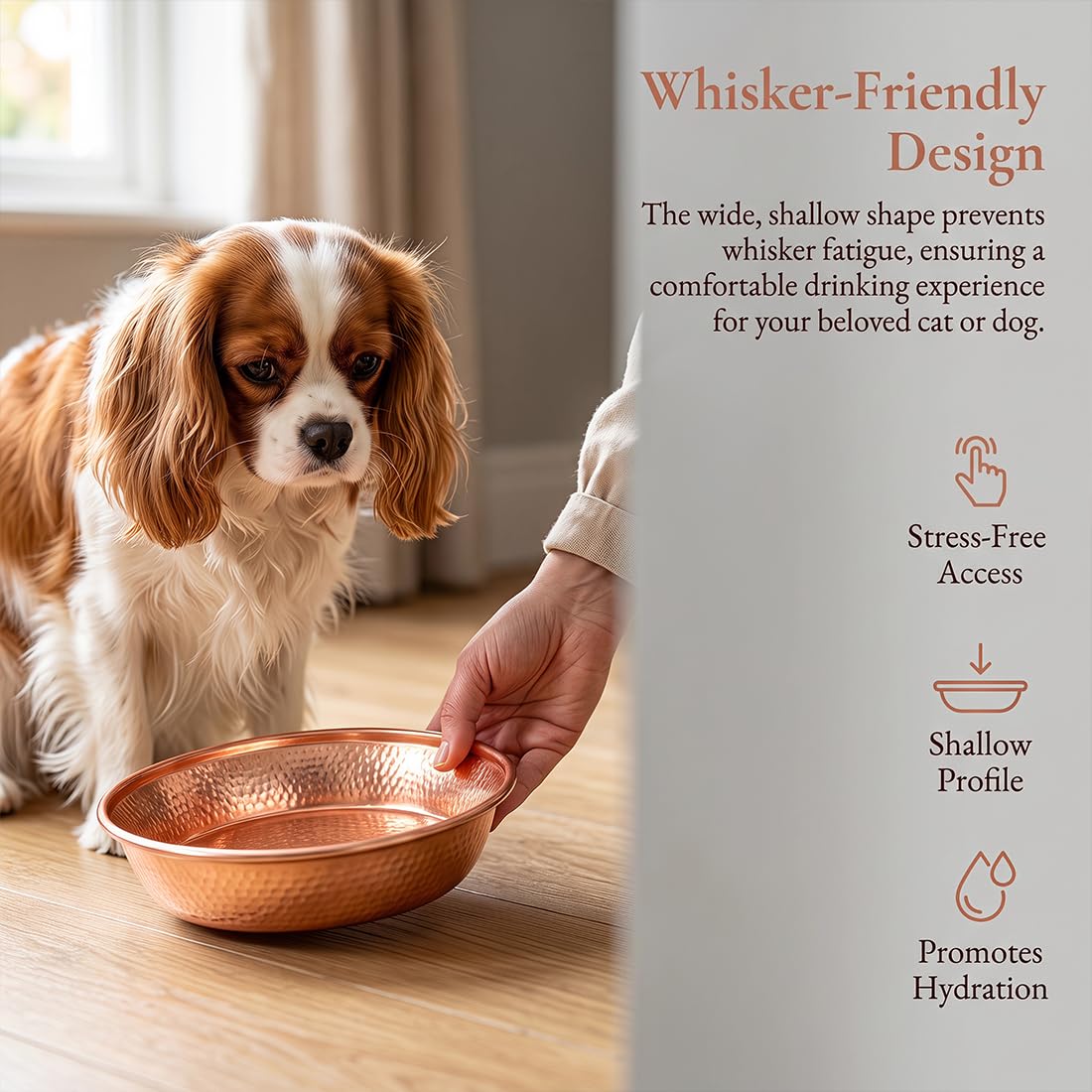 Luxuriöser Gehämmerter Kupfer Hundenapf, 13*13*2.5cm Kupfernapf Hund Mit Kippsicherem Boden Und Kratzfestem, Goldfarbener Kupferschüssel Leicht Zu Reinigen, Für Haustiere Zur Partydekoration (M+L)