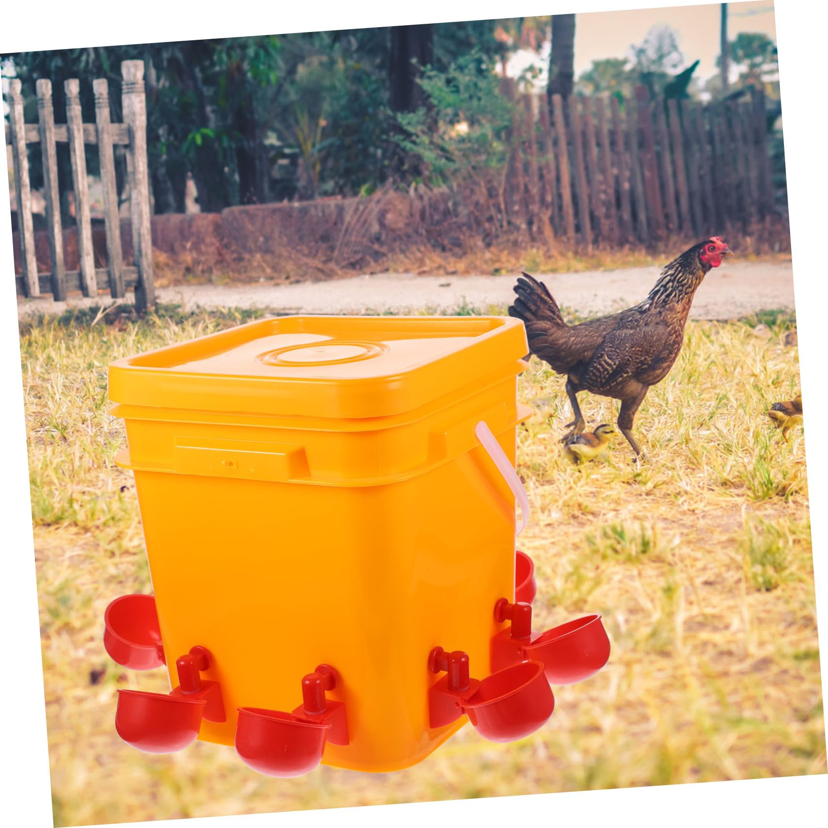 Toddmomy Bebedero De Gallinas Dispensador Automático Bebederos para Pollos Suministros para Aves