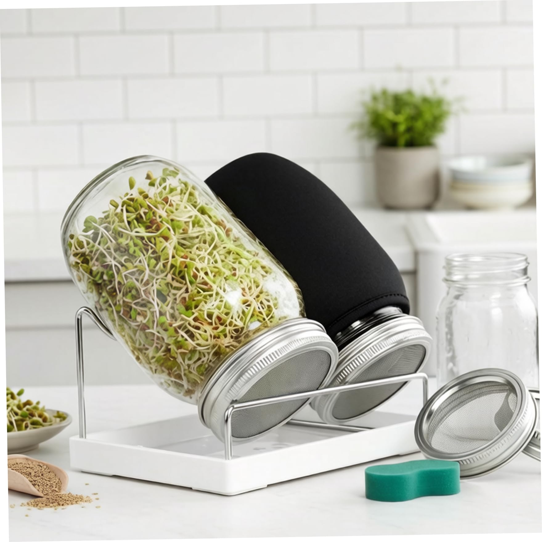 Kit de Culture de germes Pot Germination à Large Ouverture avec couvercles en Maille d'acier Inoxydable Plateau d'égouttage et Support pour Brocoli Haricot Mungo et Luzerne