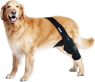 MerryMilo Dog Knee Brace For Support With Cruciate Ligament Injury, Joint Pain And Muscle Sore, Better Recovery With Dog A...