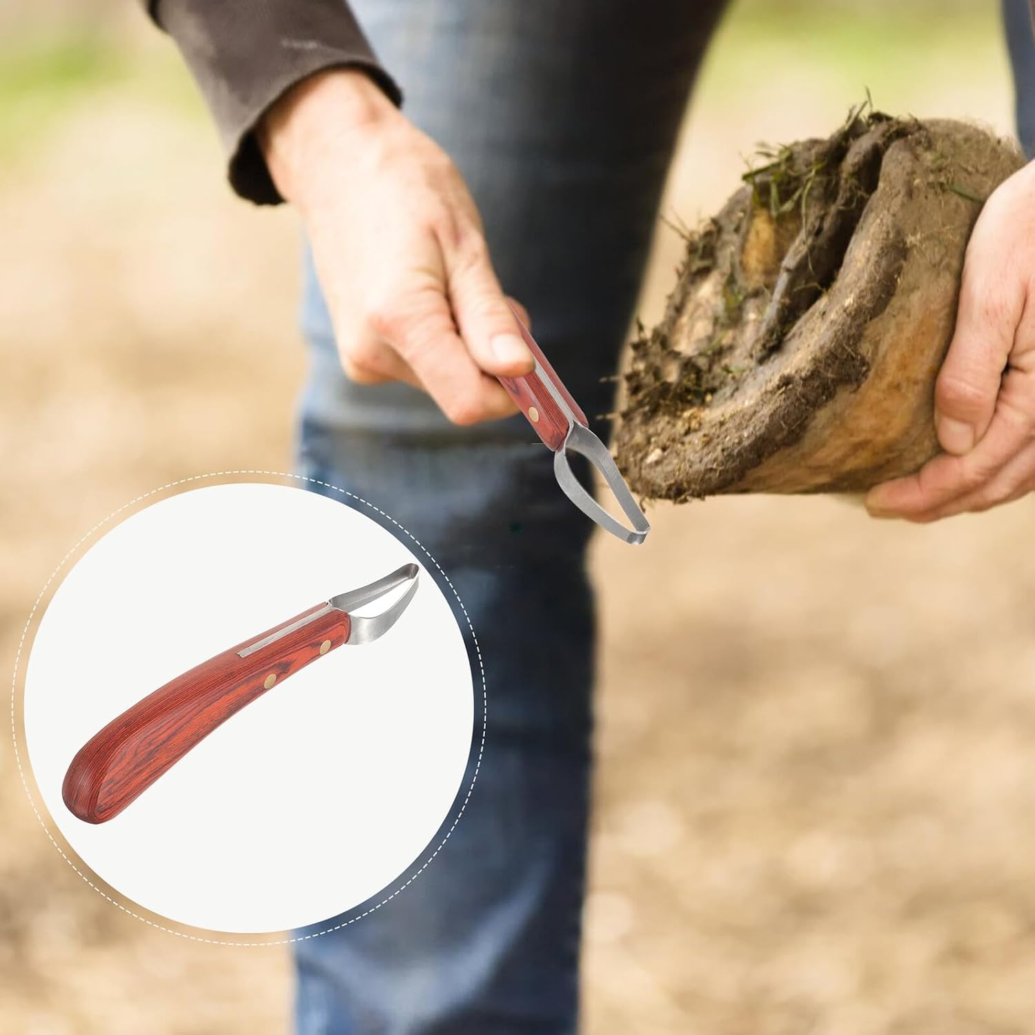 COHEALI Ergonomic Manganese Steel Hoof Cutter with Peach Wood Handle Professional Farrier Tool for Precise Hoof Trimming and Pasture Supply Lightweight Care Equipment