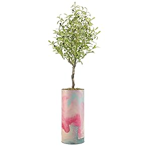 SIGNWIN Olive Tree with Vintage Pink, Blue and...