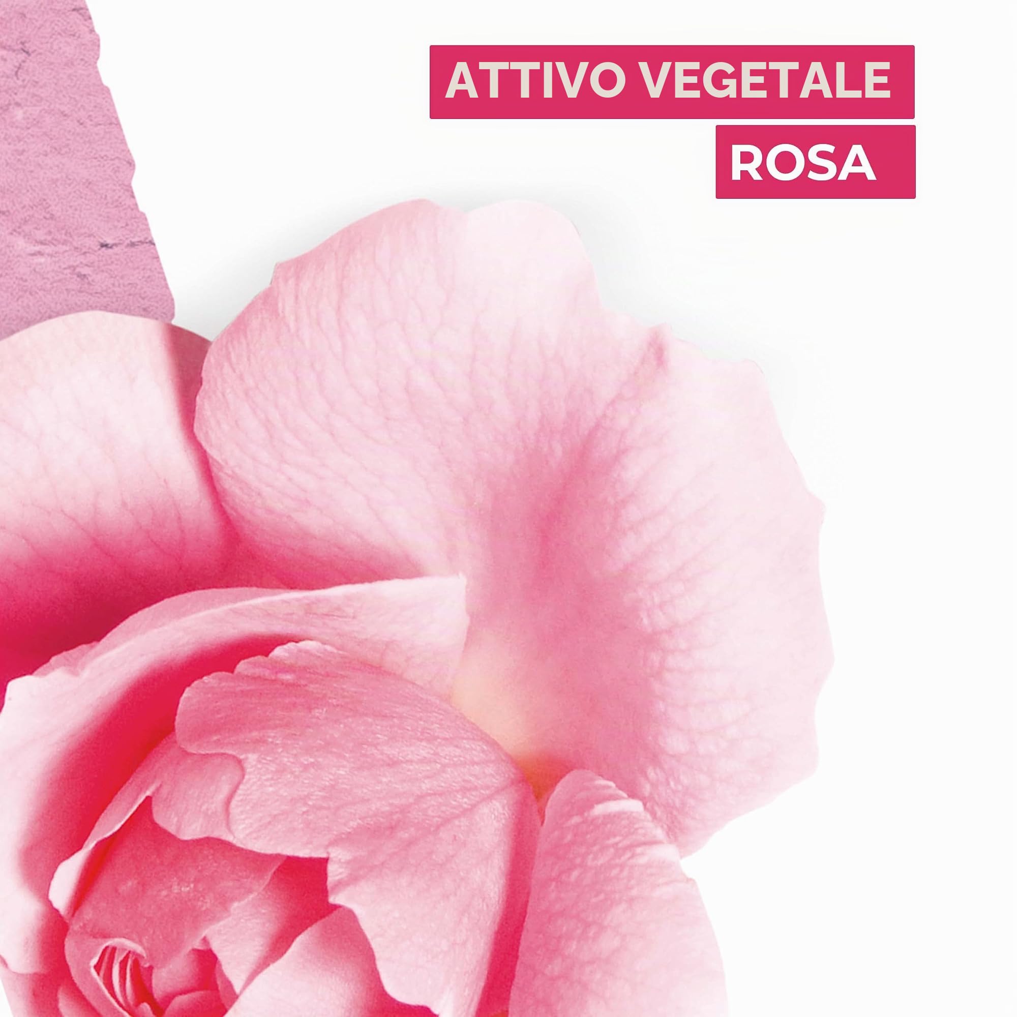 Yves Rocher LA COLLECTION │ Fiori di rosa Eau Fraîche │ Eau de Toilette rinfrescante da donna │ Freschezza rosa floreale │ Delicato profumo floreale │ 100 ml