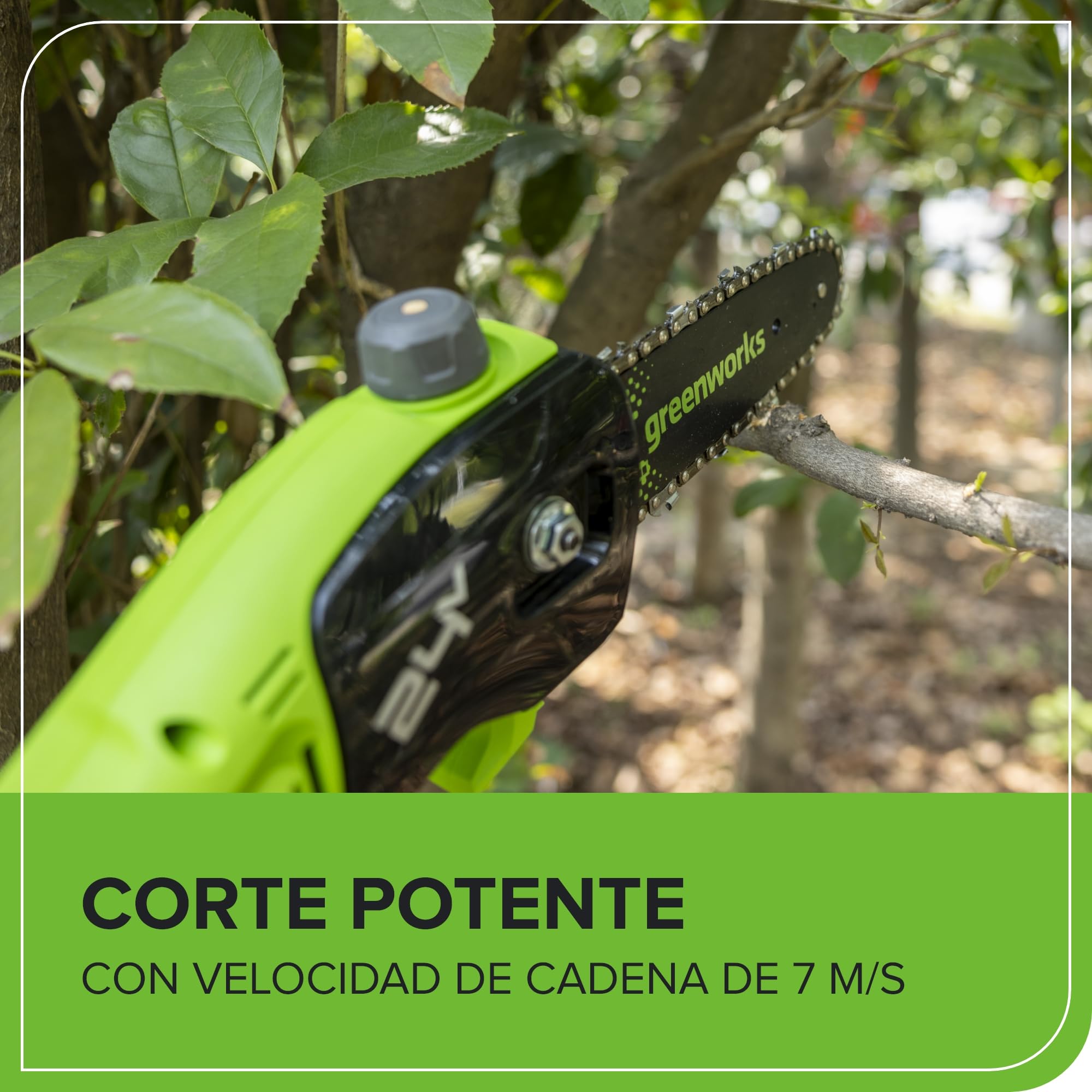 Greenworks Sierra de Pértiga Inalámbrica de 24V, Podadora de Pértiga de 2,68 m, Motosierra Eléctrica de 20 cm con Engrasador Automático, Velocidad de Cadena de 6,7 m/s (Solo Herramienta)