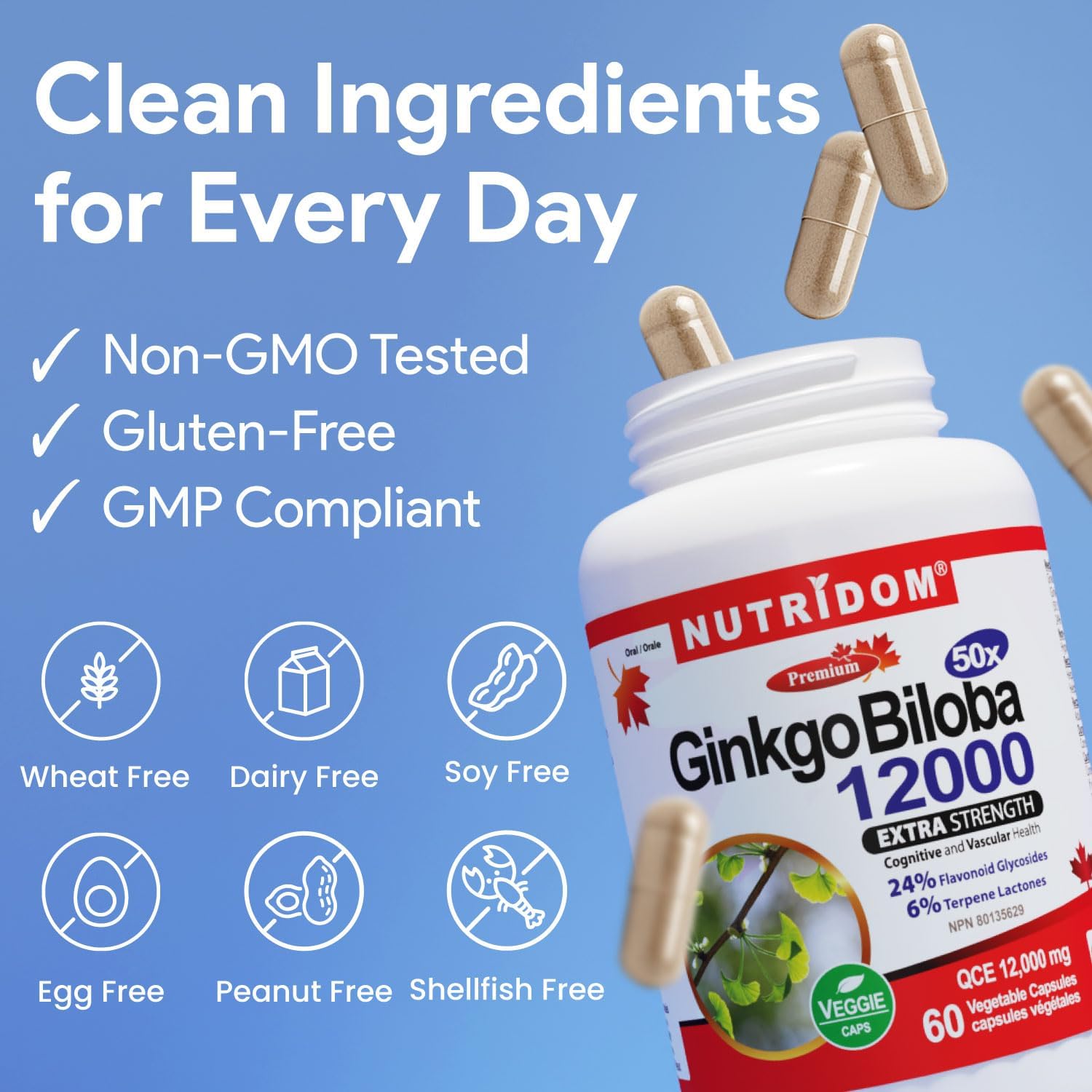 Nutridom Ginkgo Biloba 12000 mg – Extra Strength 24% Flavonoid, 6% Terpene – Memory, Focus & Circulation Support – Non-GMO, Vegan, 60 Capsules (60 Day Supply) - Image 5