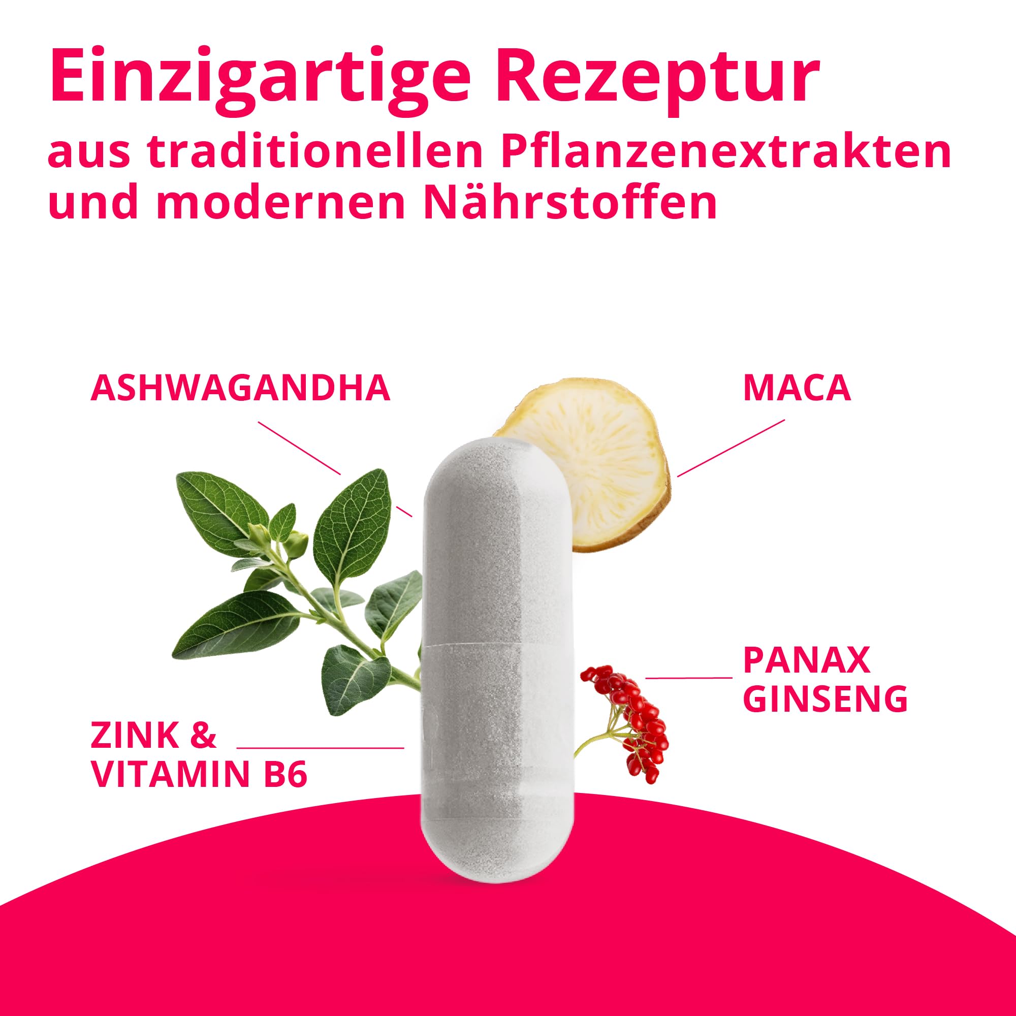 Lady Passion - Das Original für Frauen - 60 hormonfreie Kapseln mit Ashwagandha, Maca, Ginseng - Vegan & Made in Germany