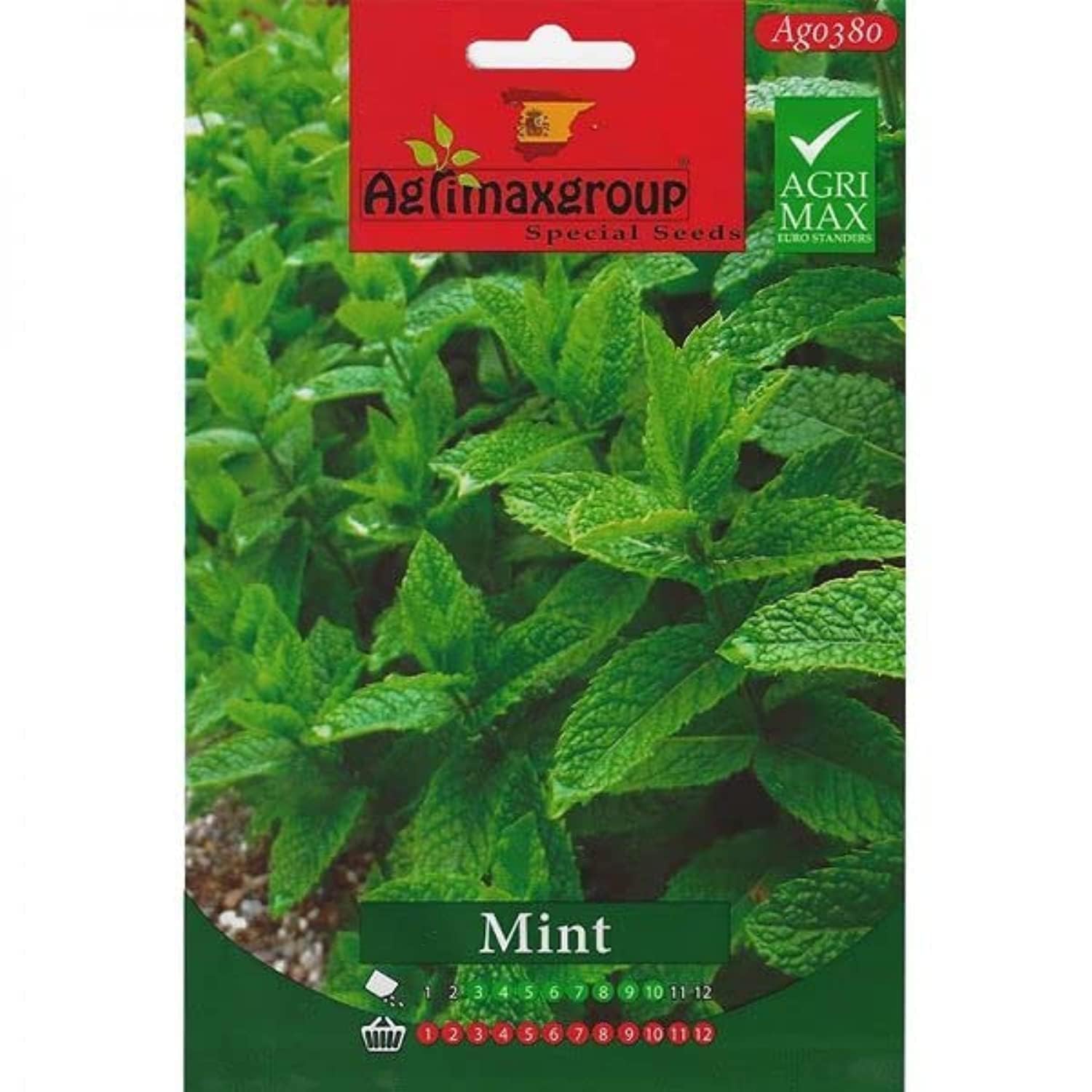 Mint Premium Quality Seeds by Agrimaxgroup® "Garden Care"