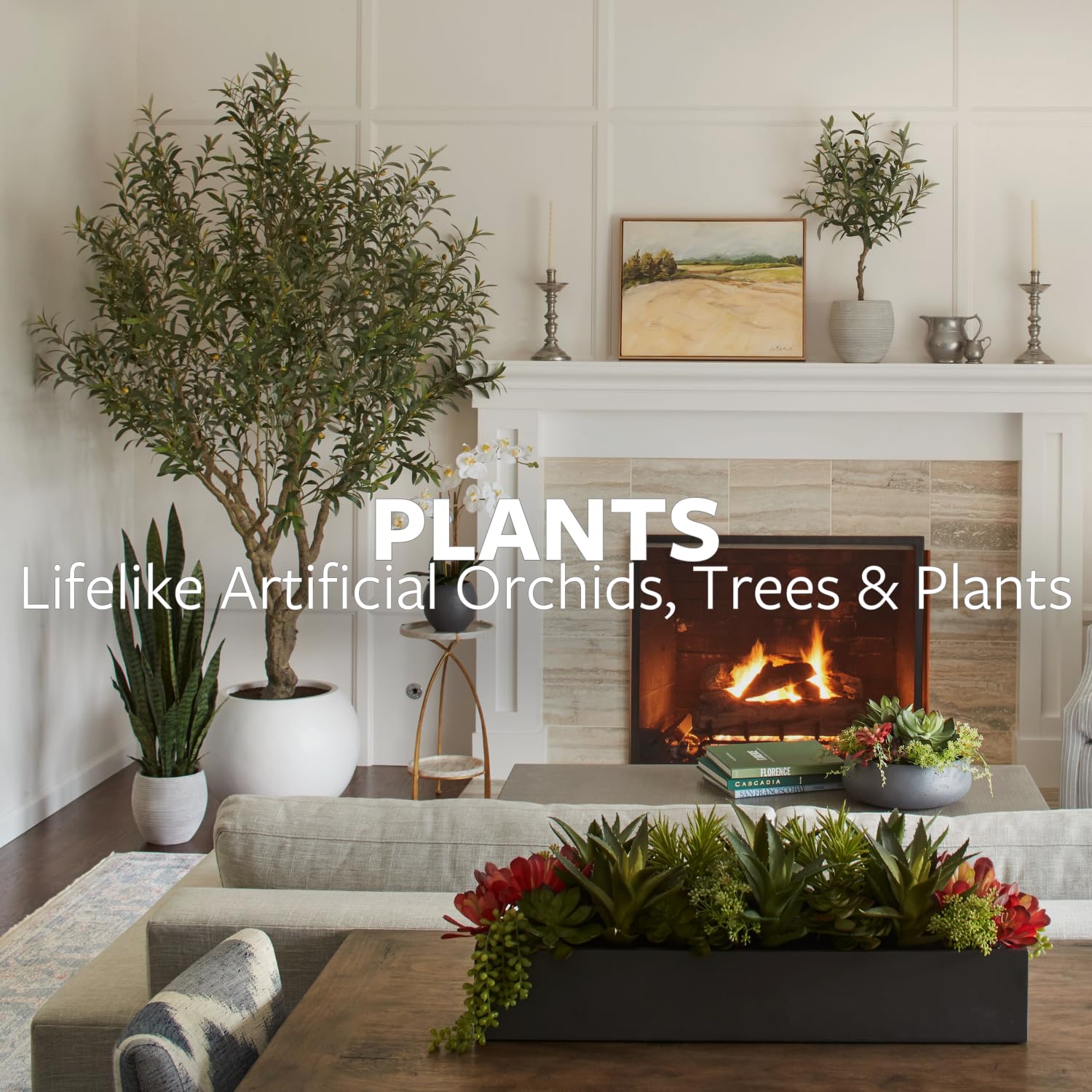 indoor cane plant Lisa Cane – Fragrance Plants and Flowers main image 0