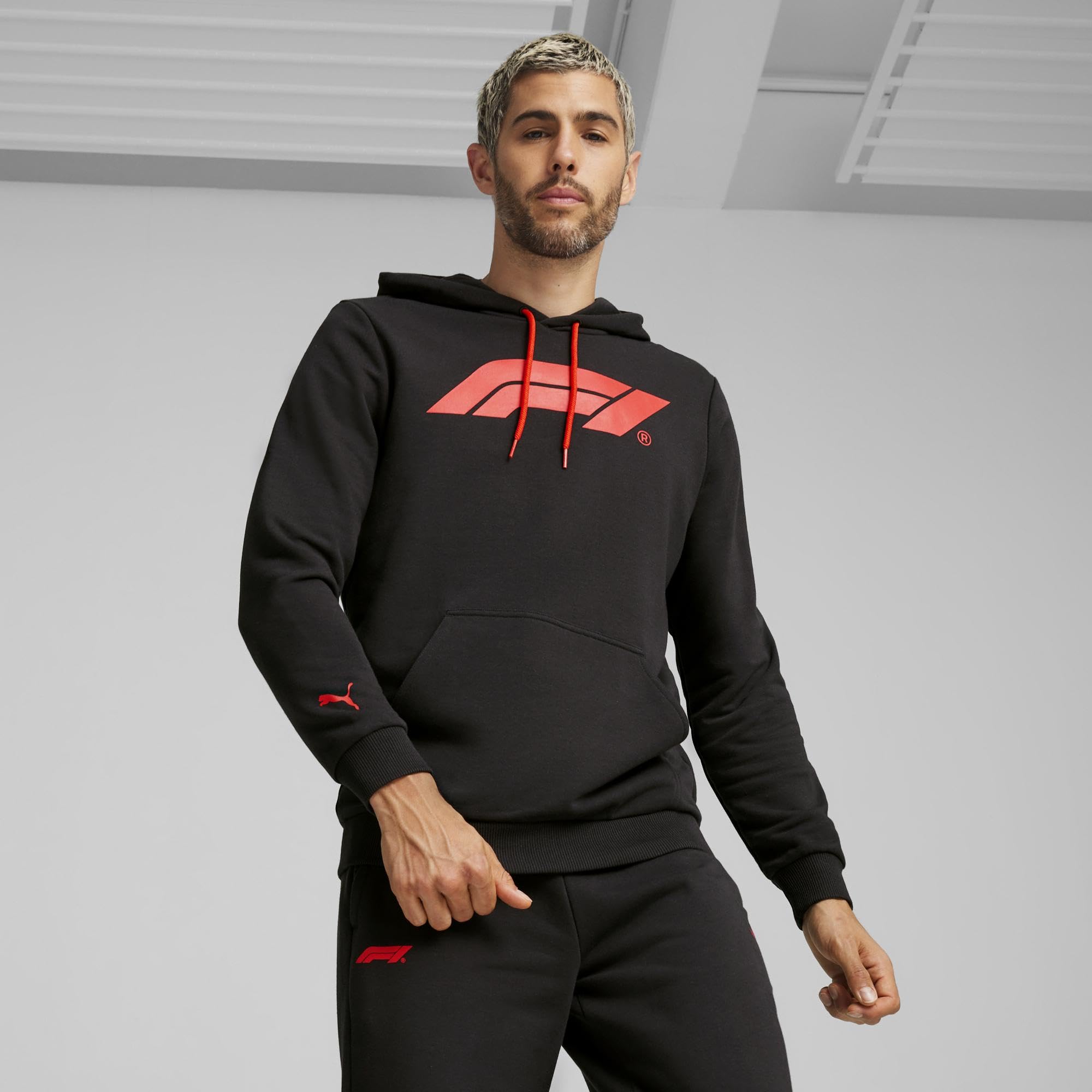 PUMA Bluzy z kapturem Mężczyźni F1 Ess Logo Hoodie (1 w zestawie)