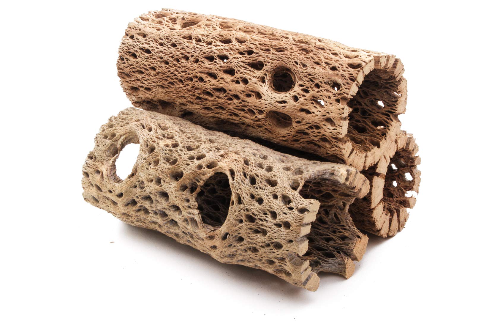 3 to 48 Inch All Natural Teddy Bear Cholla Wood Extra Hollow Large Untreated Organic Aquarium Driftwood Decoration Chew Toy Shrimp Crab Multi-Quantity (3 Pieces, 6 inch)