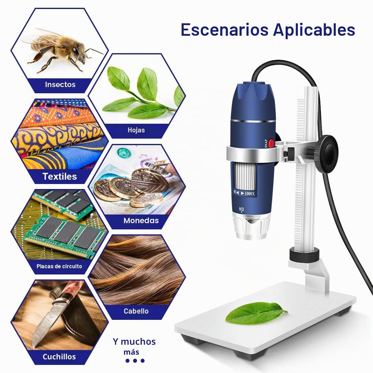 Jiusion Microscopio Digital HD 2MP USB 40-1000X con Aumento portátil cámara endoscopio con 8 LED aleación de Aluminio Soporte Estable para OTG Android Mac Windows 7 8 10 11 Linux | Endoscopio 8 LED Soporte Estable Aleación de Aluminio para OTG Android Mac