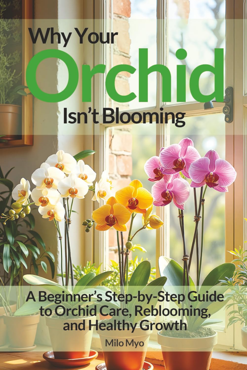 Why Your Orchid Isn’t Blooming: A Beginner’s Step-by-Step Guide to Orchid Care, Reblooming, and Healthy Growth