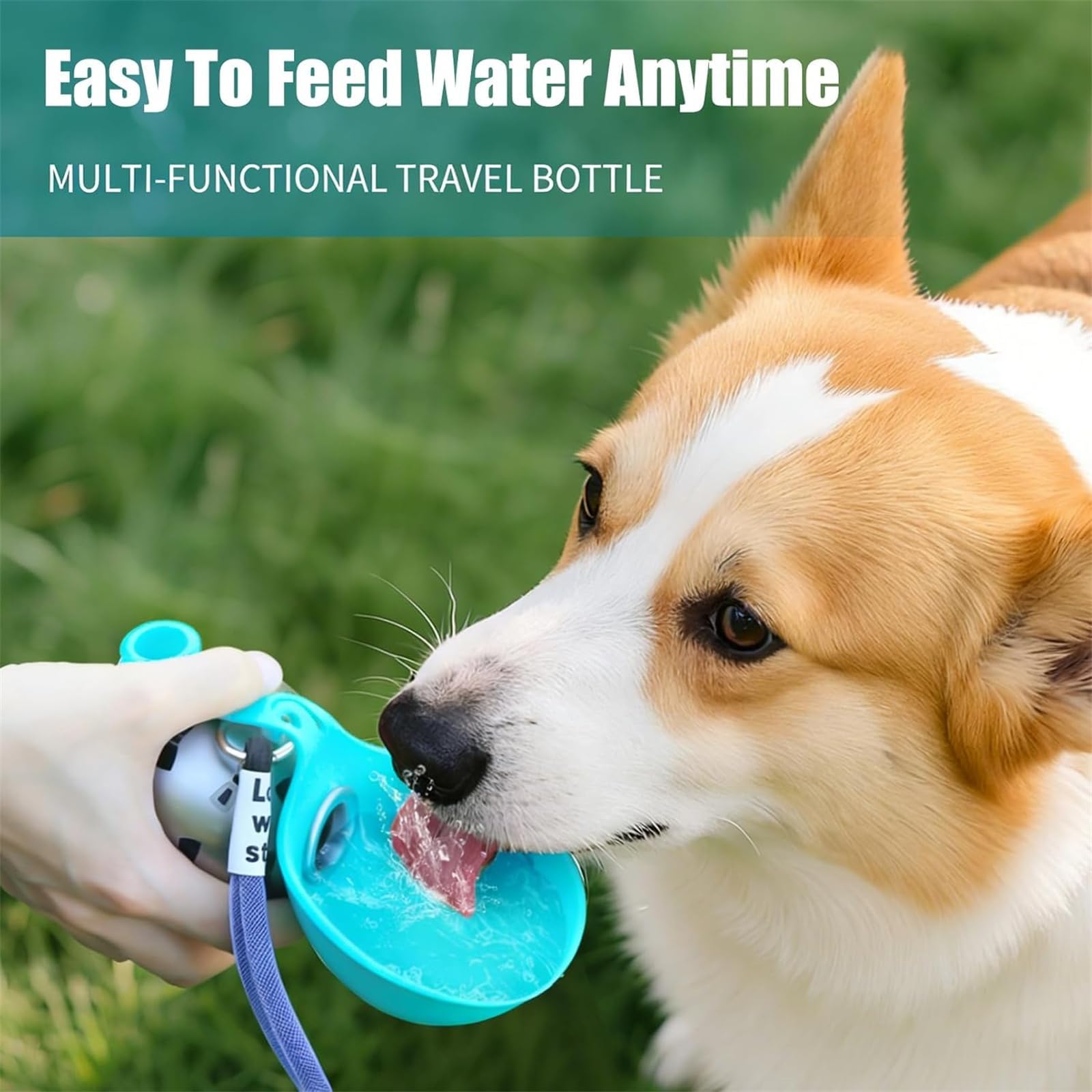Tragbare Haustier Trinkflasche, 285ml Edelstahl Wasserflasche für Hunde und Katzen, Hundetrinkflasche für Unterwegs mit Silikonnapf, Auslaufsichere Wasserflasche mit Faltbarem Silikonnap (Blau)