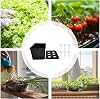 Hydroponics System for Indoor Use - 6-Hole Germination System - Bottomless Cultivation Box for Indoor and Outdoor Use Garden Greenhouse Farm Backyard Windowsill Balcony Office for Vegetables and