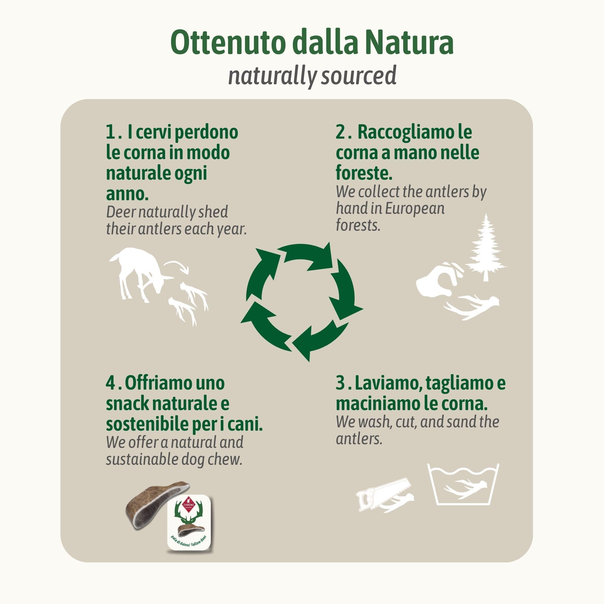 ChronoBalance-XL Corno di Cervo Daino per Cani, Confezione da 1, 100% Naturale, Osso di Cervo, Cura Dentale, Giocattolo per Cani, Ricco di Minerali e Nutrienti, Lunga Durata