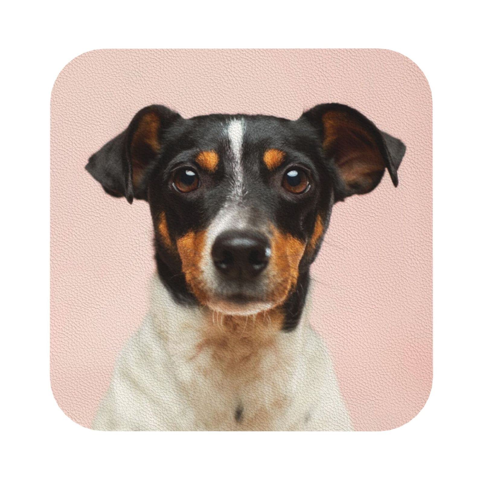 Custom Coasters for Drinks, Mitidi Personalized Absorbent Drink Coasters Set 6 Pcs, Special Housewarming Gifts for New House Funny Gifts for Men Women (Square)