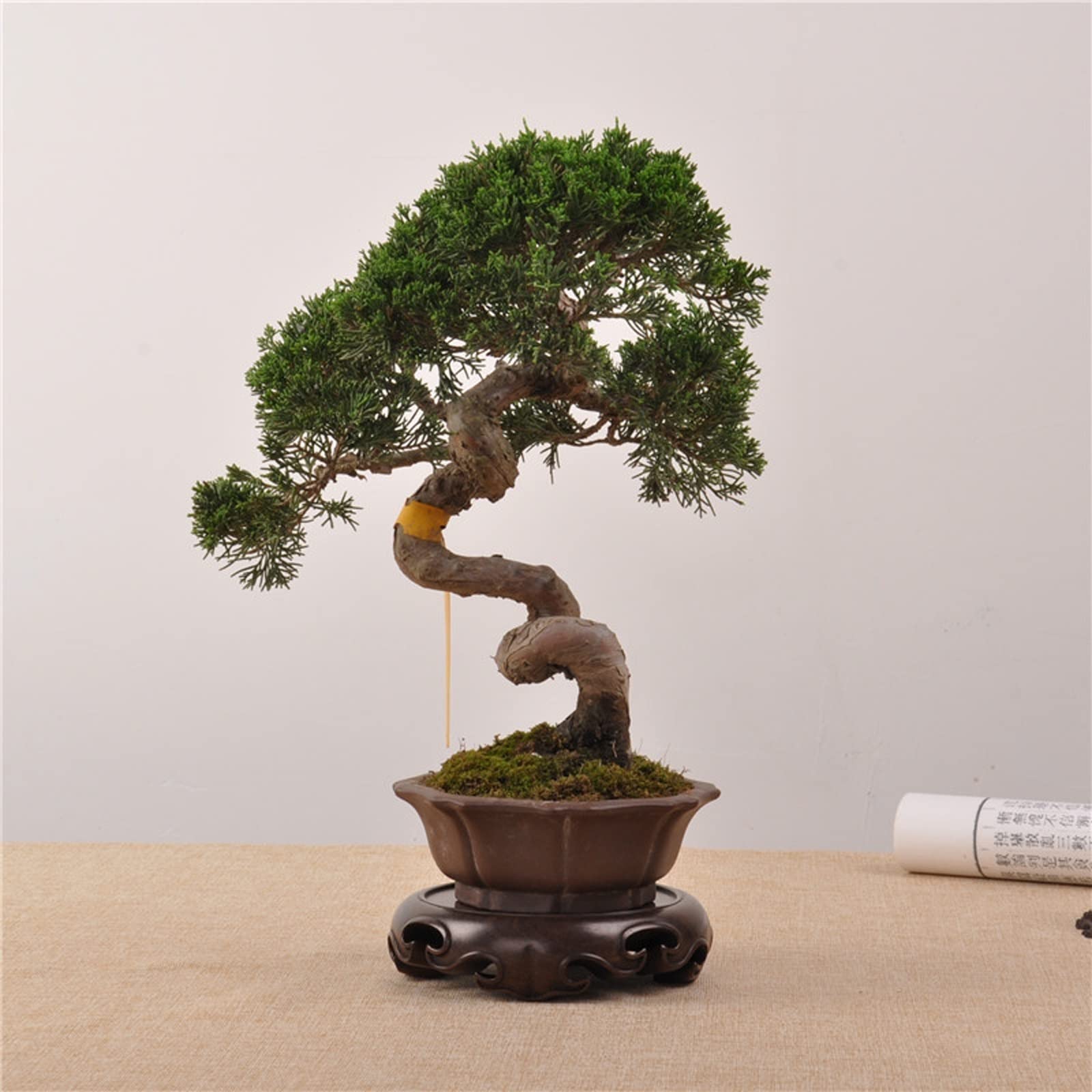 Podstawka na statuetkę stojak wazon retro okrągły drewniany wazon czajniczek lampa stołowa podstawa stabilna dekoracja salonu stojak drewniany stojak ekspozycyjny podstawa Bonsai podstawa ( rozmiar: