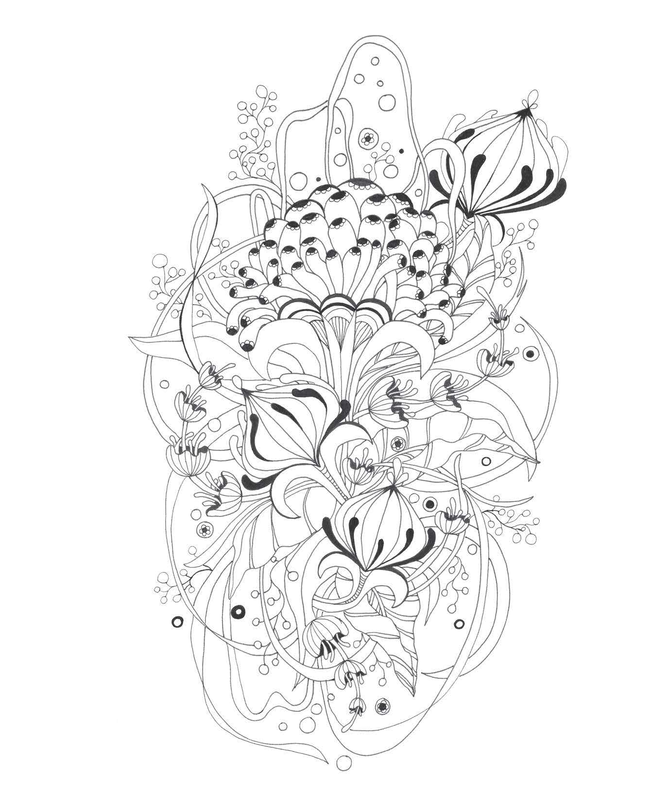 Botanical Wonderland: A Blissful Coloring Retreat (Coloring Wonderland)