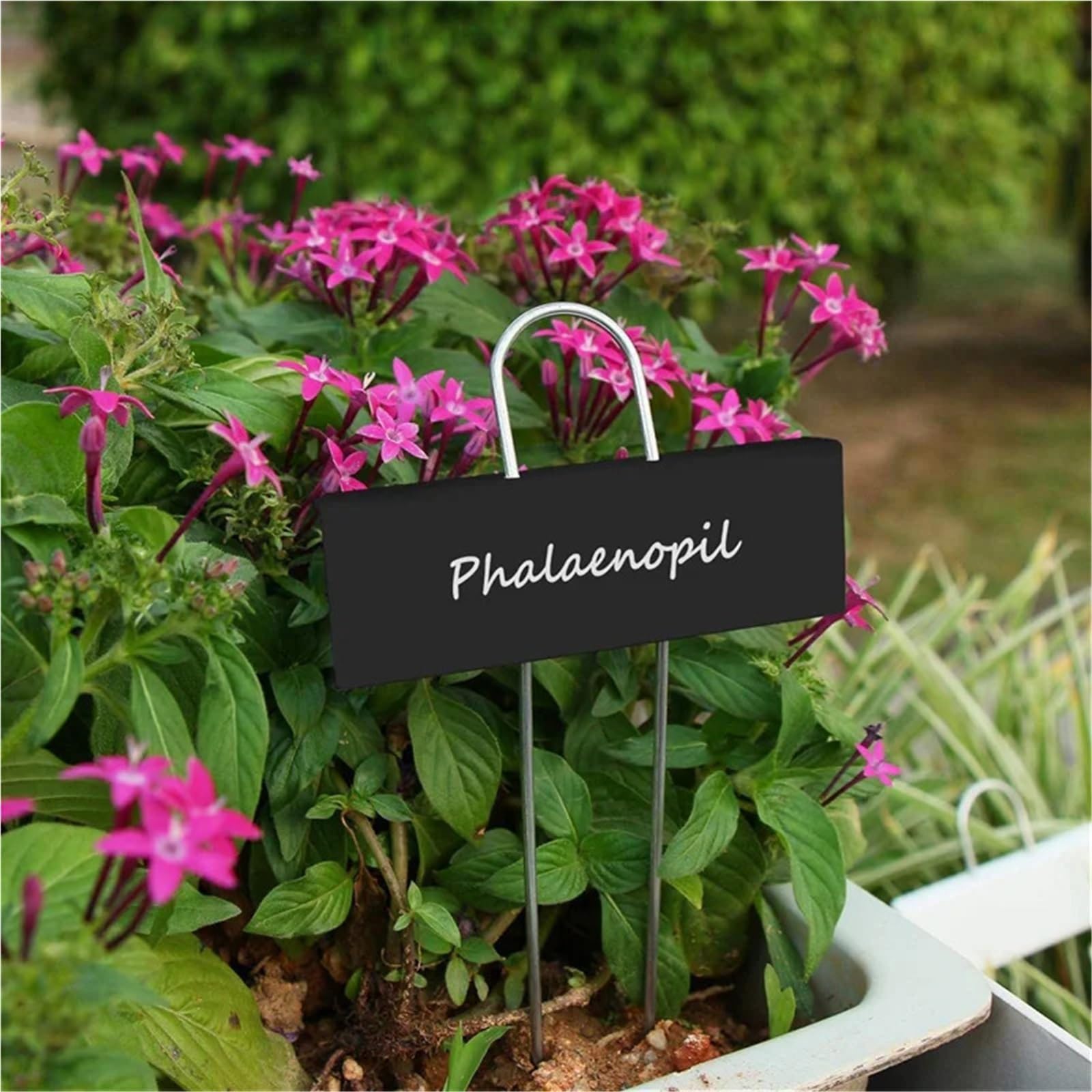 Pflanzenschilder 150 Stück Pflanzenetiketten aus Metall, wetterfeste Gartenmarkierungen, wiederverwendbar, Etiketten for Kinderzimmer, for Gemüse, Kräuter, Blumen, Gewächshaus, Schwarz
