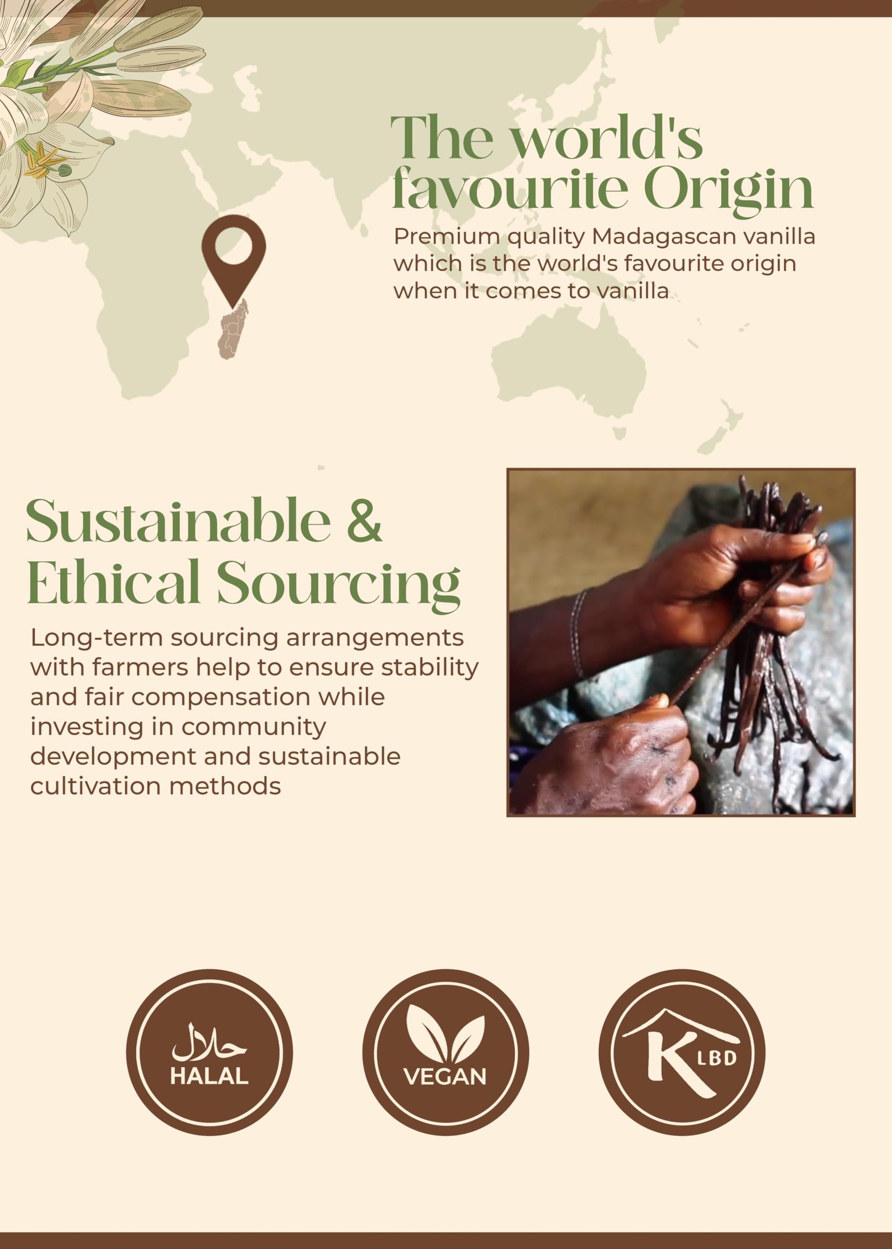 Gourmet Madagascan Vanilla Pods 15-17cm | 5 Grade A Bourbon Vanilla Beans | Gourmet Sticks for Baking & Extraction | Resealable Tube | Vanillabazaar