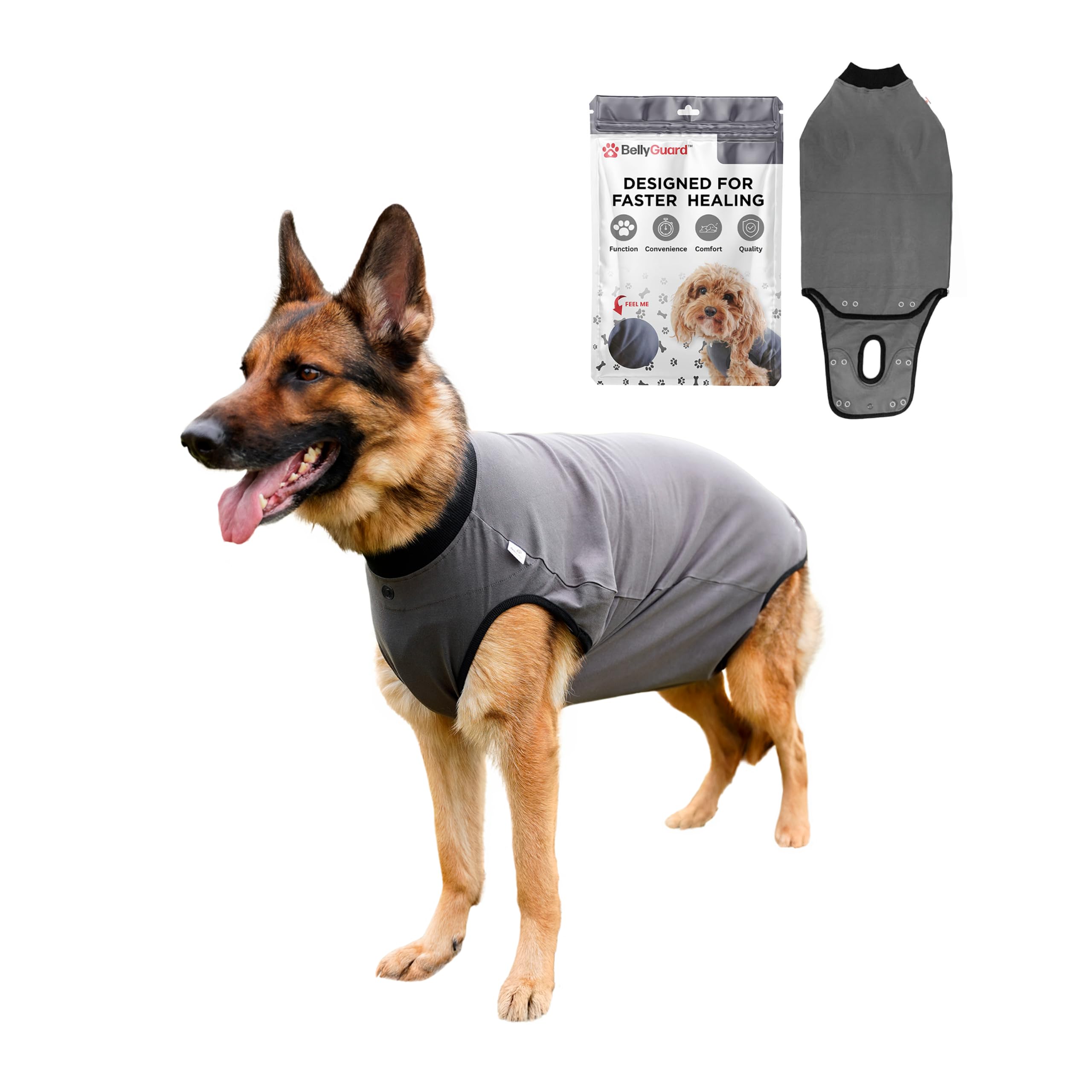 BellyGuard Dog Surgery Recovery Suit, Male Female After Spay Neuter Onesie